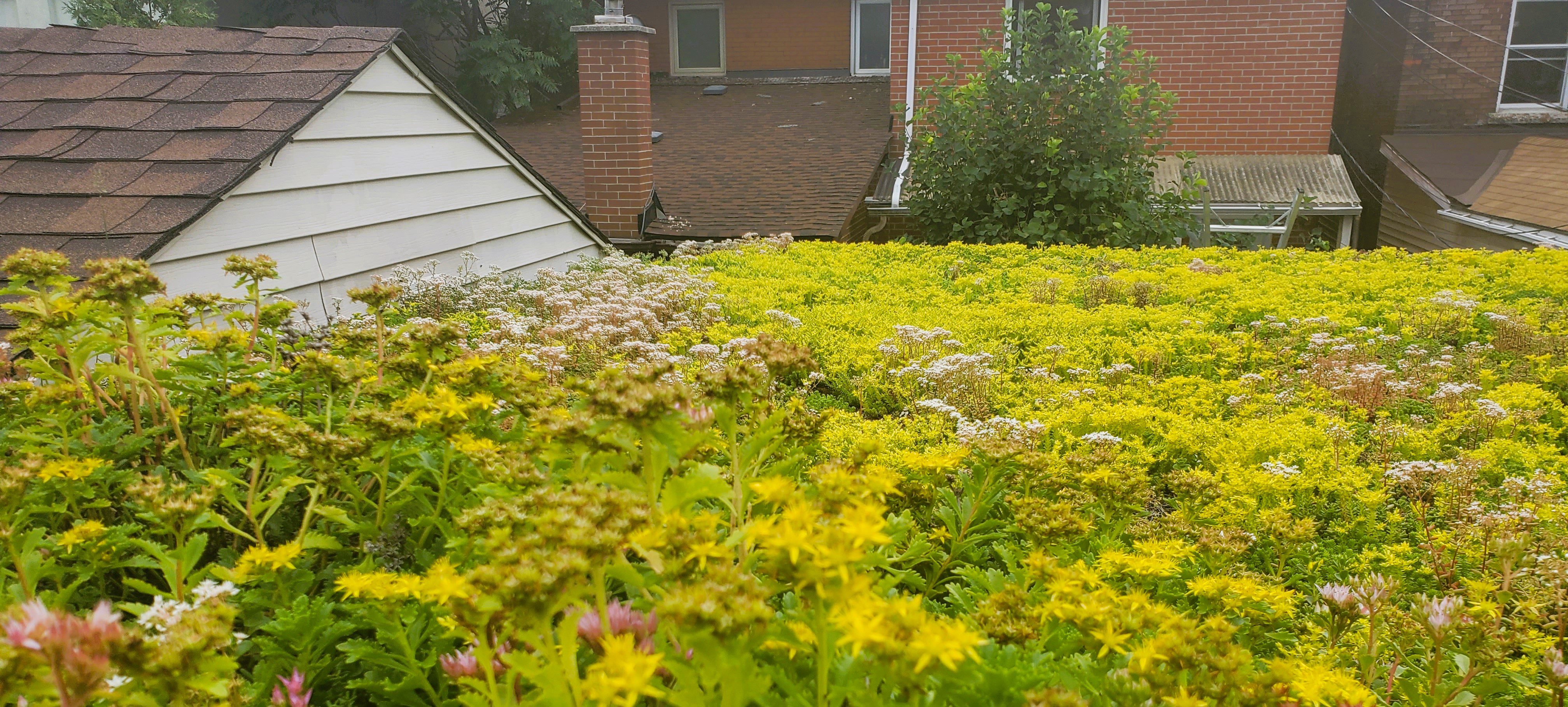 XF301 Xeroflor System - Next Level Stormwater Management